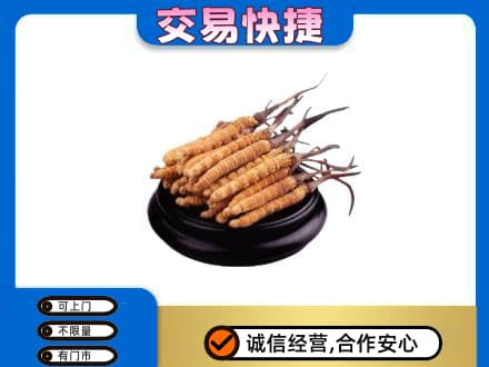 阳江阳春市礼品回收散虫草.jpg